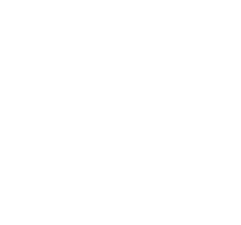 Svatia Telchac